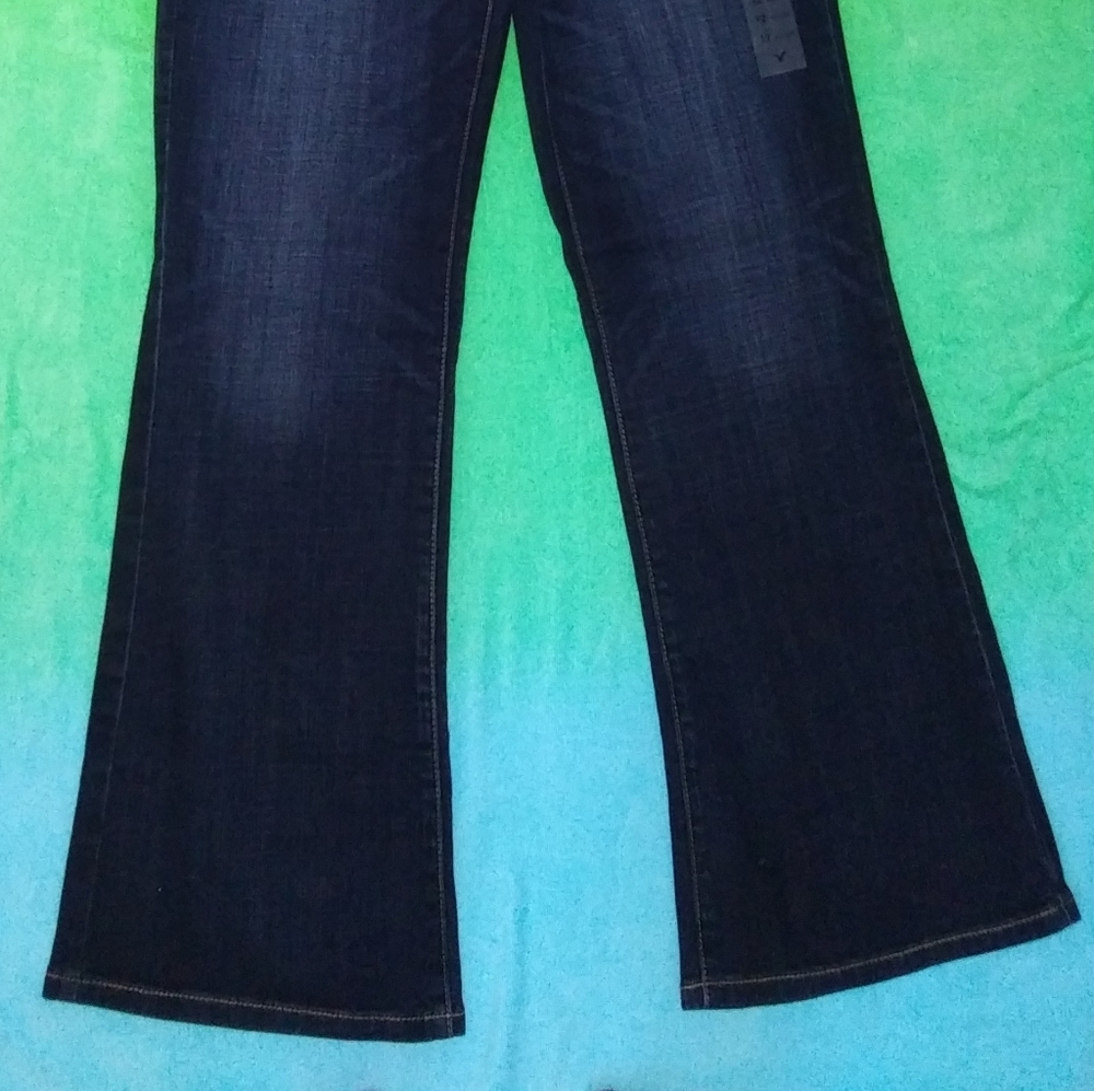 AE Favorite Boyfriend LowRise Stretch 12R NWT! - Picture 4 of 12